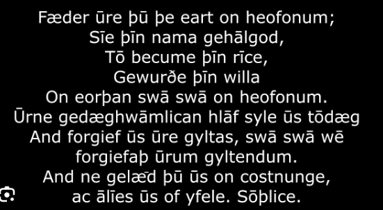 There is nothing called Old English? 

You are totally wrong. This is Old English language. English as it was spoken 1000 years ago.

Now tell us what it means.