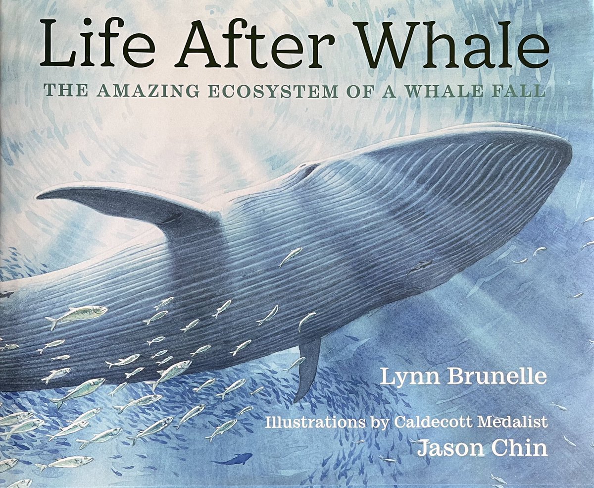 Simon Smith tweet media