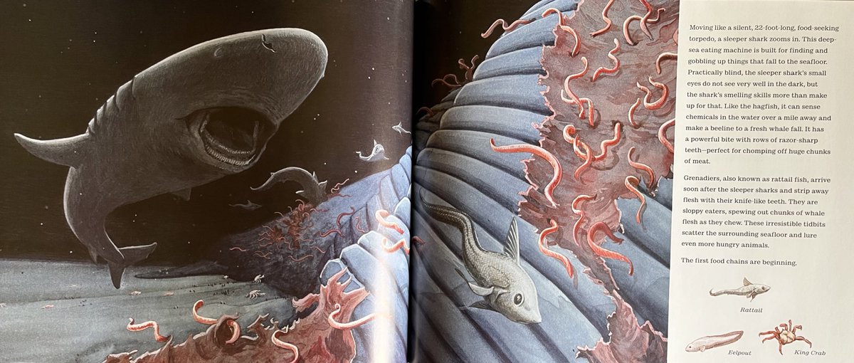 Simon Smith tweet media