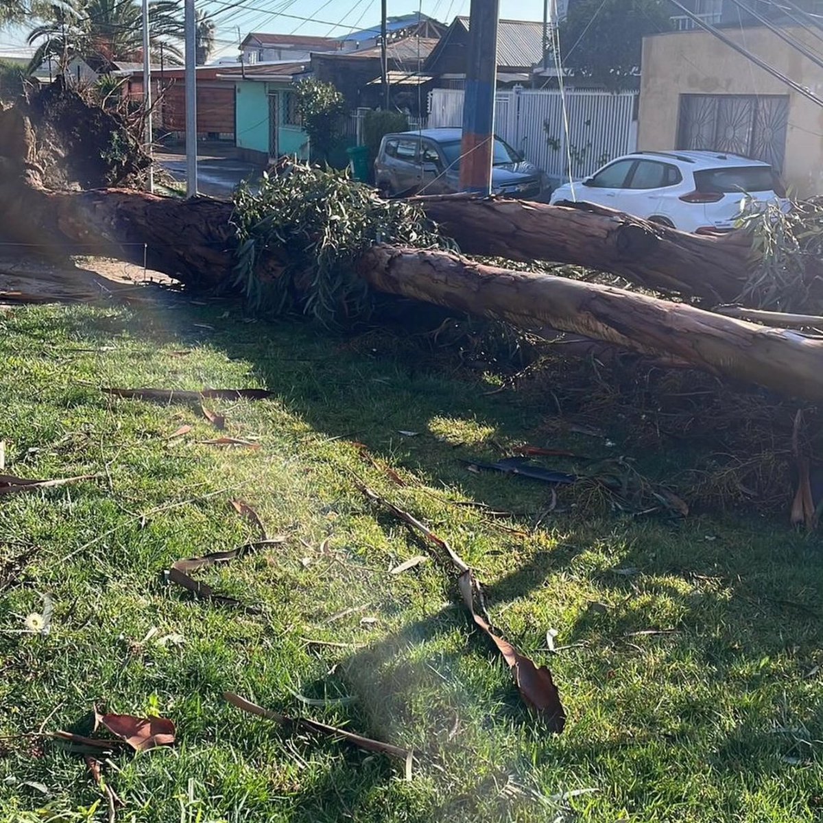 macaghuidobro's tweet photo. Me han llegado imágenes y mensajes de vecinos que llevan más de 33 horas sin electricidad, sin embargo no ha habido respuesta de parte de @EnelChile
Arboles y postes caídos, afectando al frontis de un club de adulto mayor, pasajes cerrados, cables en el suelo. @MuniConchali https://t.co/eBXlWUVZI9
