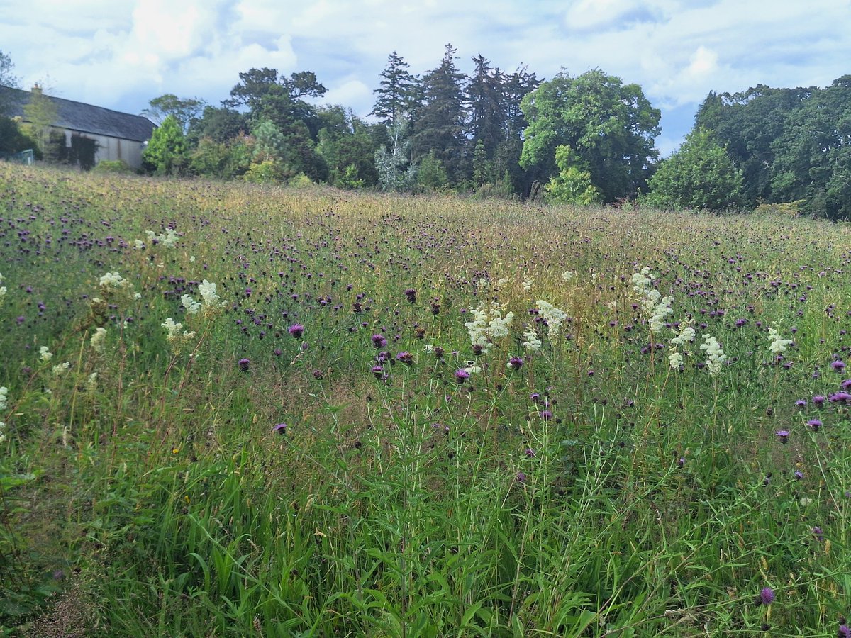 Fintan Kelly tweet media