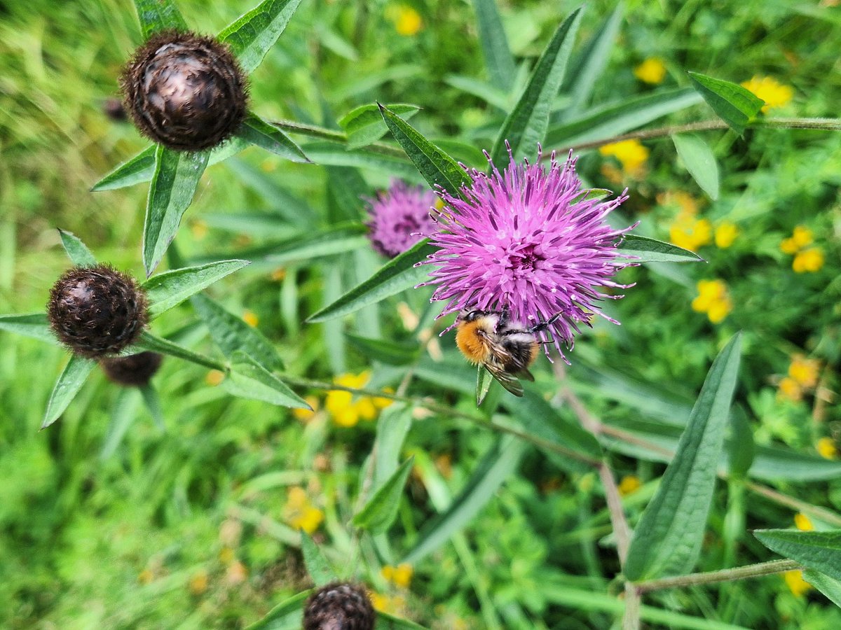 Fintan Kelly tweet media