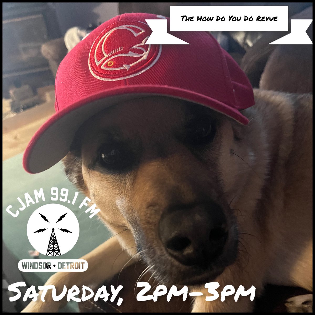 HowDoYouDoRevue's tweet image. We’re on the air on both sides of the Detroit River this afternoon on @CJAMFM as we mark the local slo-pitch tournament with some likeminded tunes, plus some great new music and The Croaky Crooner!

2pm ET on 99.1 FM in Windsor-Detroit and cjam.ca everywhere else!