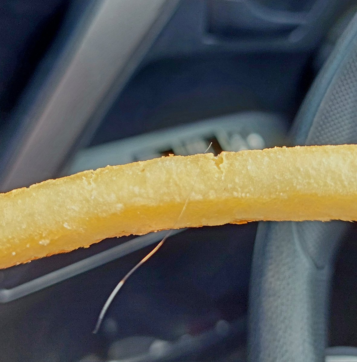 This isn't my usual type of post so please indulge me.

I just ordered lunch for takeout.  It came with a side of fries.
When I picked the very first one up, I saw a squirrel hair.
I see you, Buddy.  I see you. ❤️ 🌈