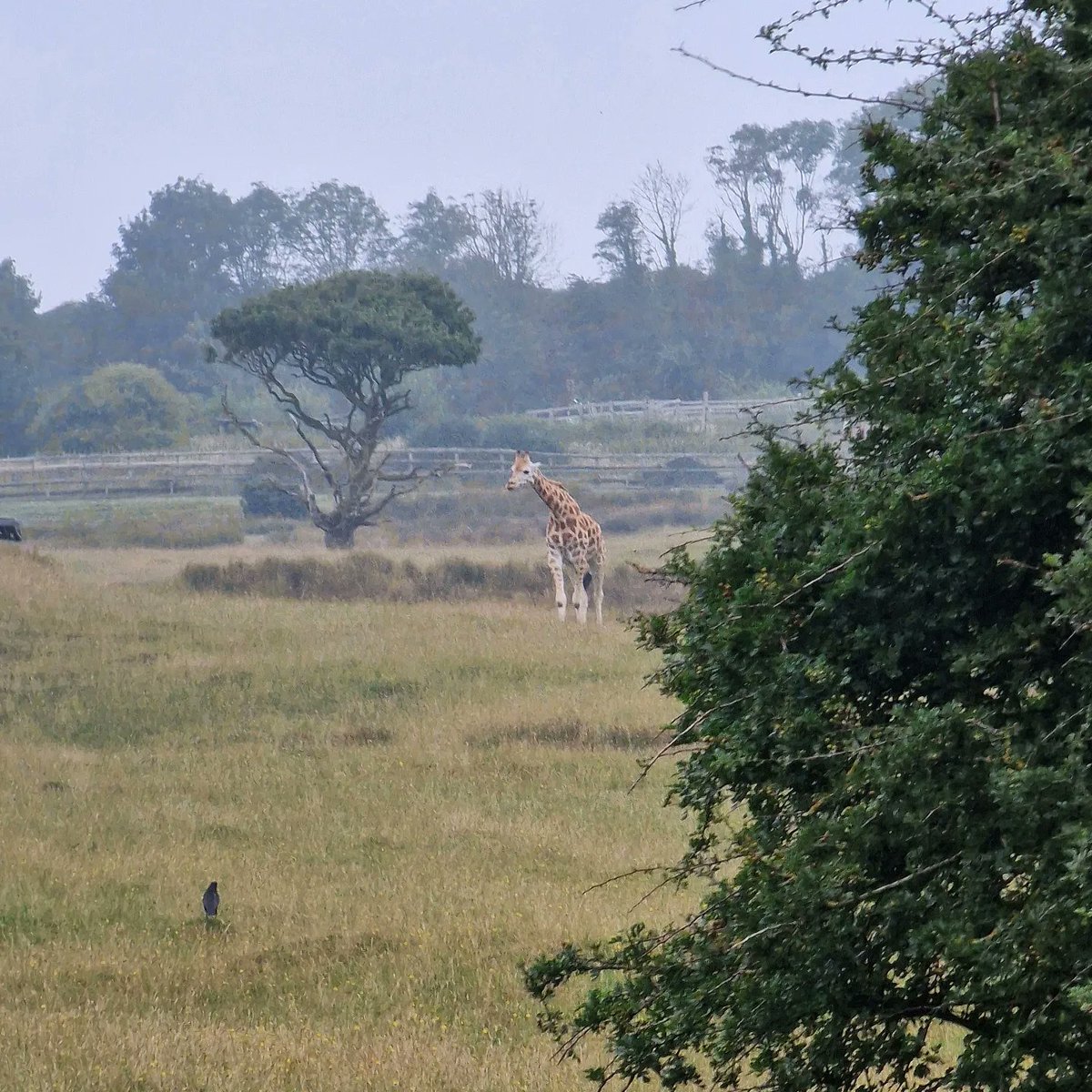 Best Birthday yesterday🫶🫶