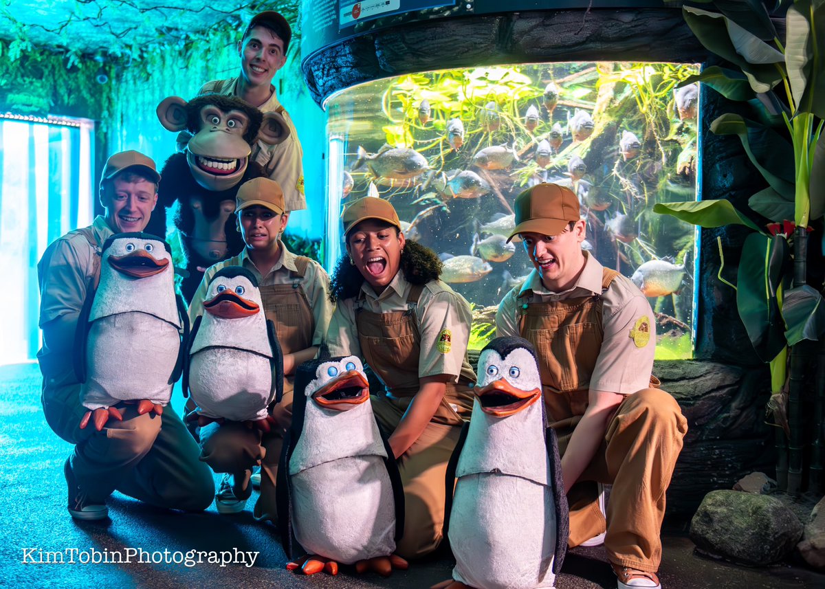 We had such a fun time with the cast of the UK tour of Madagascar the Musical at our Zooquarium! 

Thanks for visiting us and seeing some familiar friends👀 

📷 by Kim Tobin