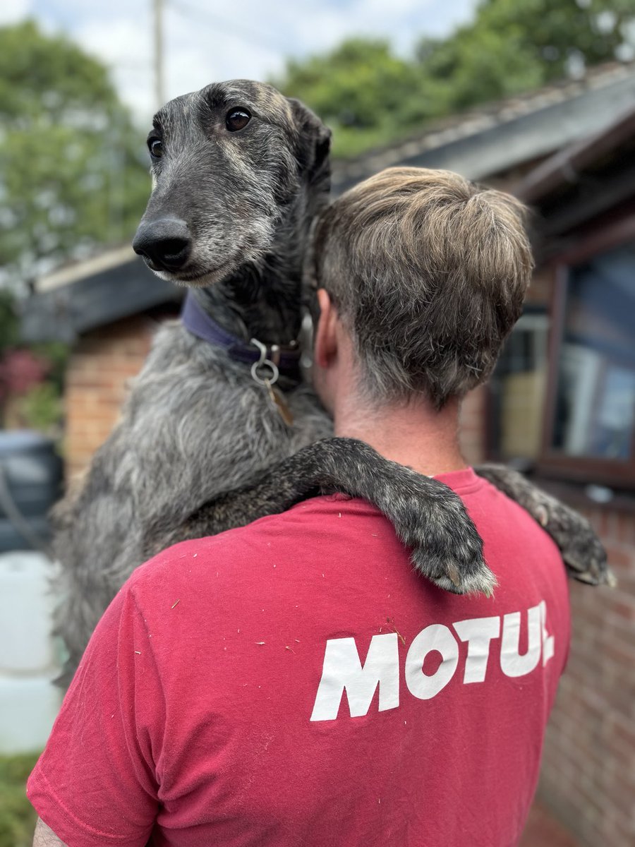 Freydis 2023 🐶 Sprocket 2012-2023 ❤️ 🌈 tweet media