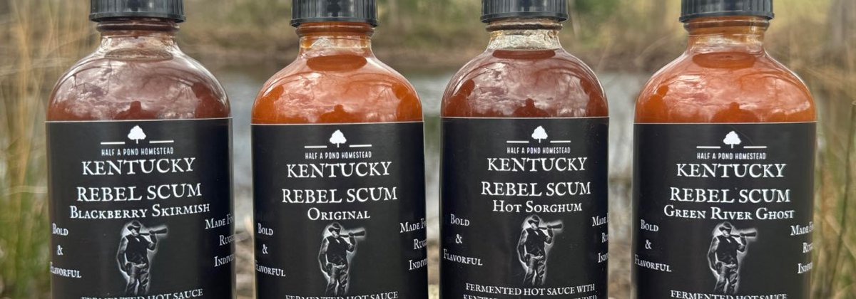 Hot Mess Homeschool Mom tweet media