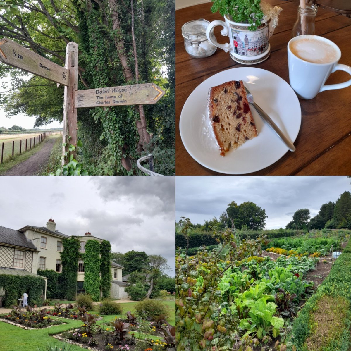 Lovely afternoon at Down House, Charles Darwin's home, where I suffered major garden  envy, bought freshly-grown beetroot and ate Scotch cake made to a recipe by his wife, Emma. #evolution