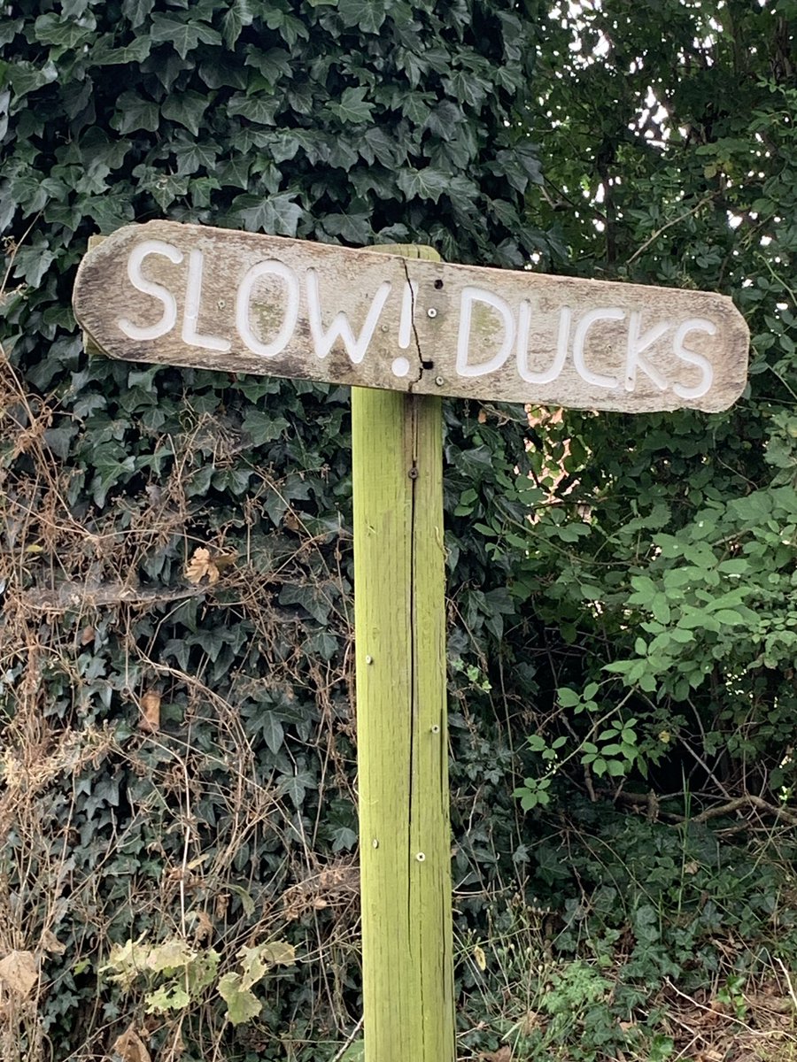 Very Norfolk!
We have plenty of clergy vacancies at present so what about a change of scene?
Come and minister in the wonderful <a href="/DioceseNorwich/">Diocese of Norwich</a> dioceseofnorwich.org/about/about-va… 
Scroll down and ask for a chat about anything that appeals.