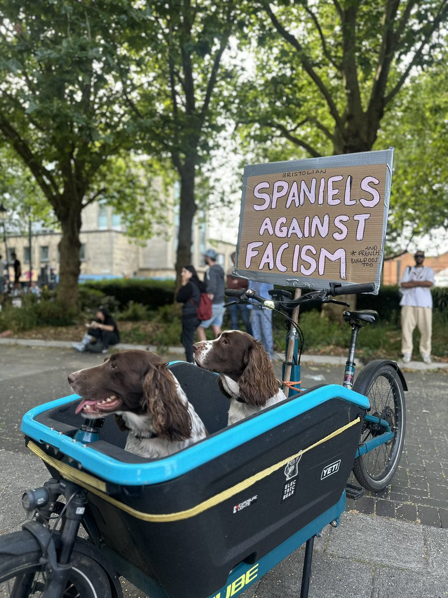 #bristol