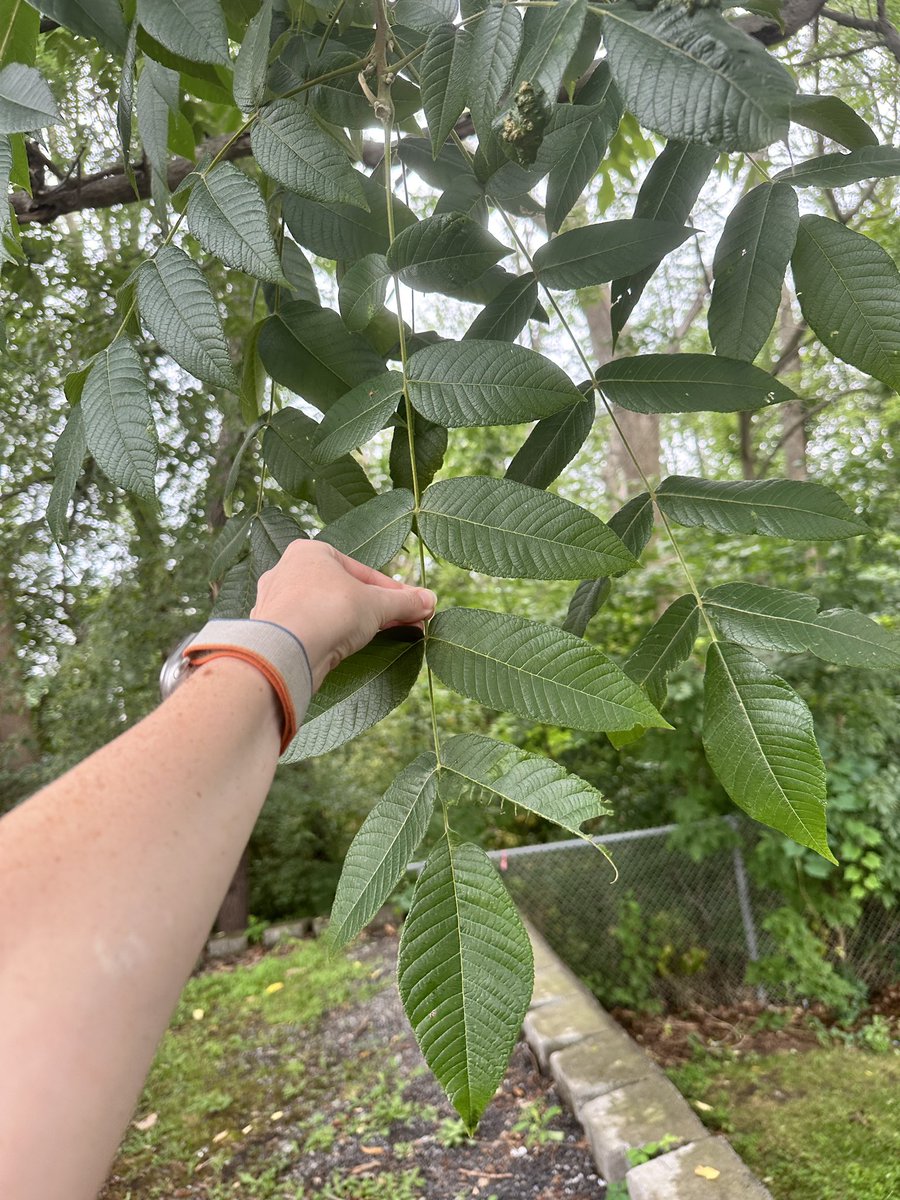 Got to explore the New York area a little bit today, oh how I’ve missed field work.