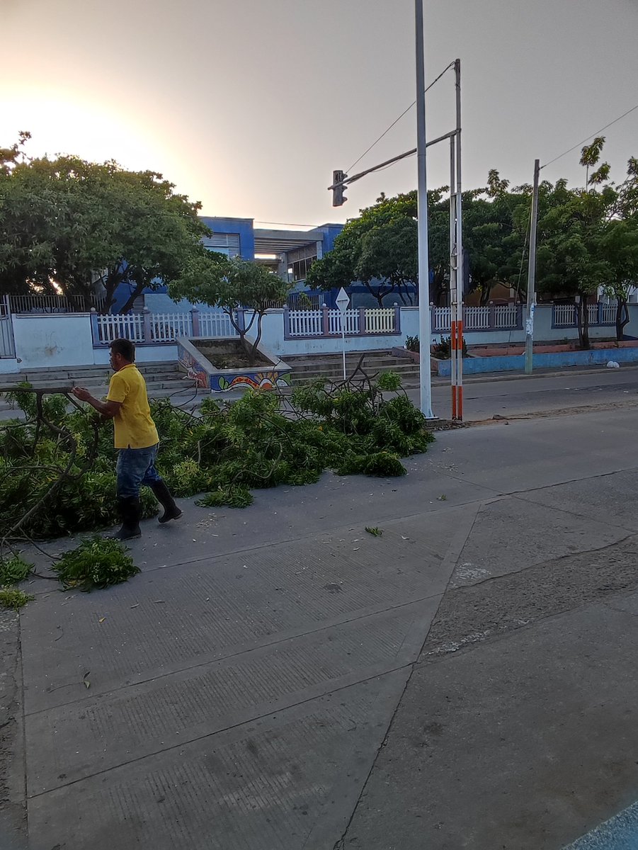 DORIANIVAN's tweet photo. Con las temperaturas de la ciudad y se pregunta uno sobre  los criterios técnicos que se tienen o que entidad autoriza el corte total de los árboles del boulevard de la calle 15 @CORPOGUAJIRA @AlcaldiaRcha https://t.co/a46Zh0JVA8