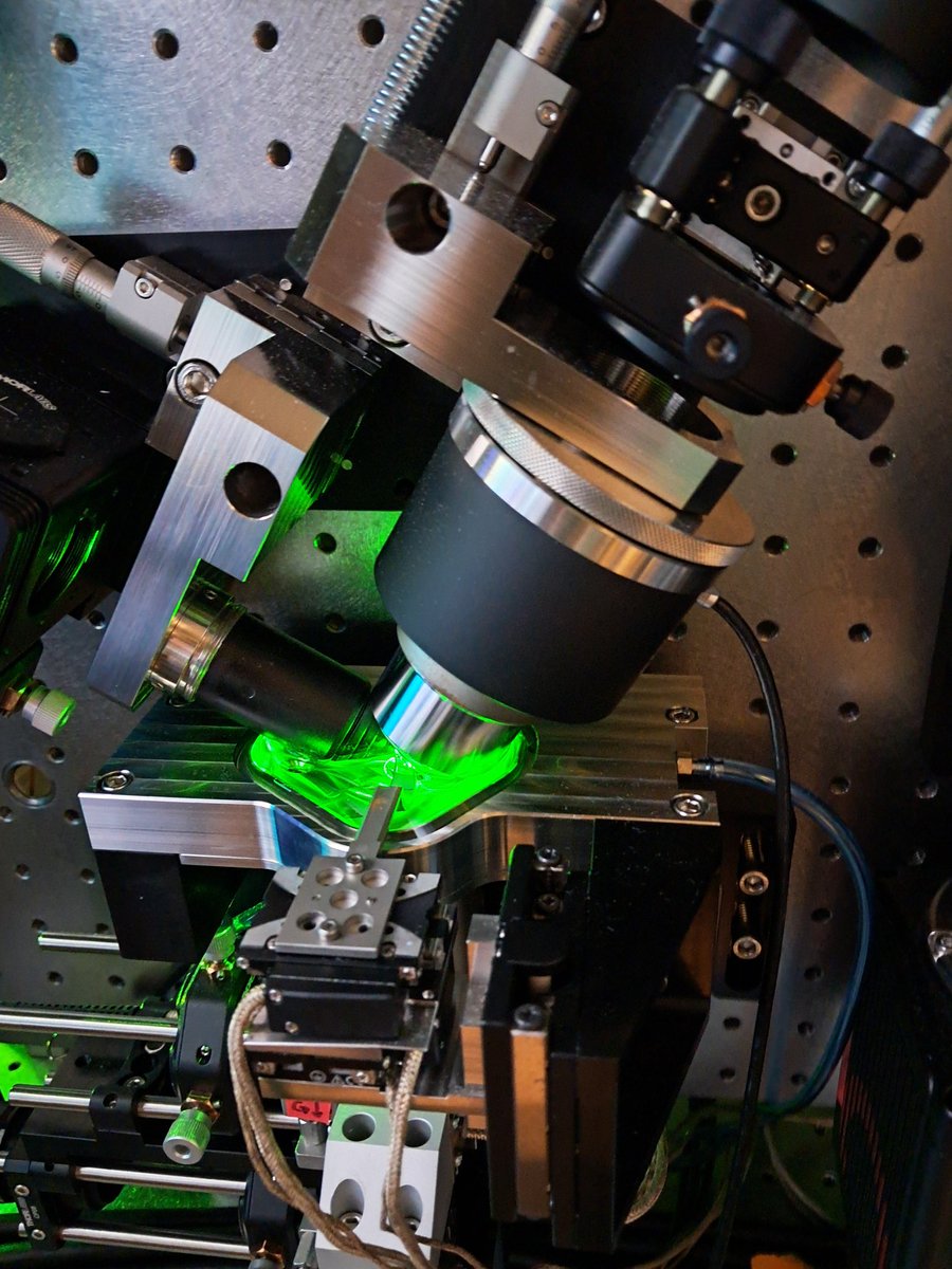 anvargasr's tweet image. This is one of those good days where you find answers and know what to do to improve. 
Thanks to all instructor of today for that. 
 
#southamericanlightsheet
#spreadtheknowledge
#IALSJanelia
@AICjanelia