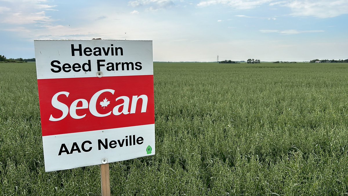 Grover Ryan Heavin tweet media