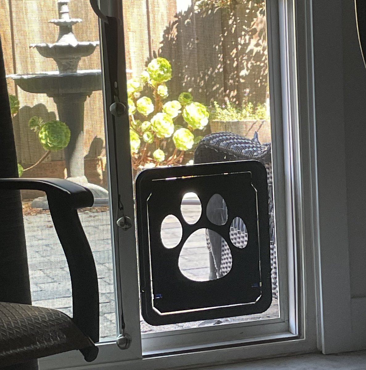 Dad installed a doggo door for me to today 😀