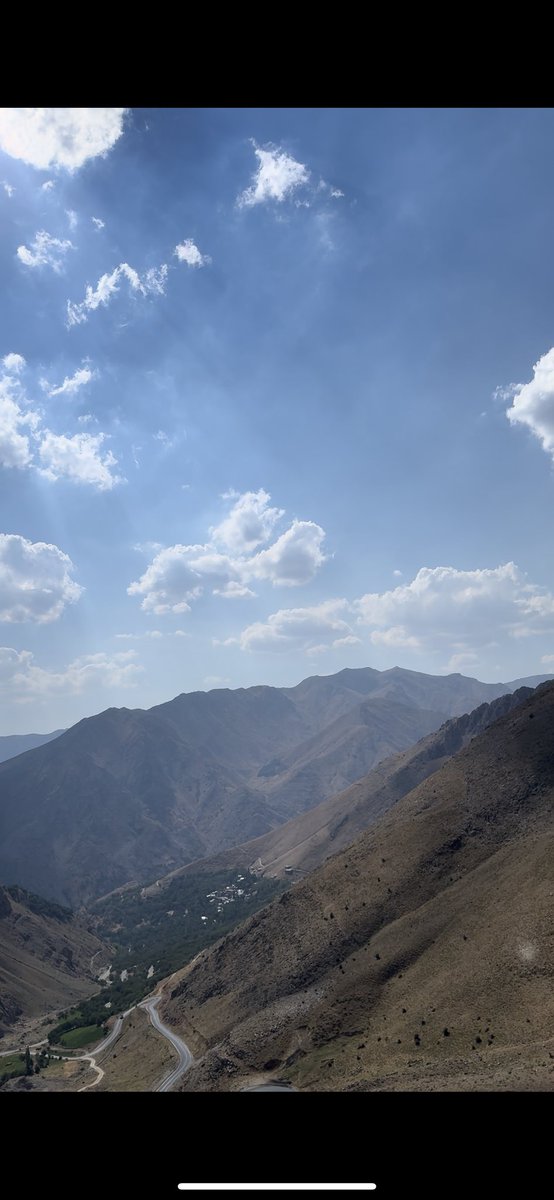 Şirin Boyraz (@sirinboyraz) on Twitter photo 