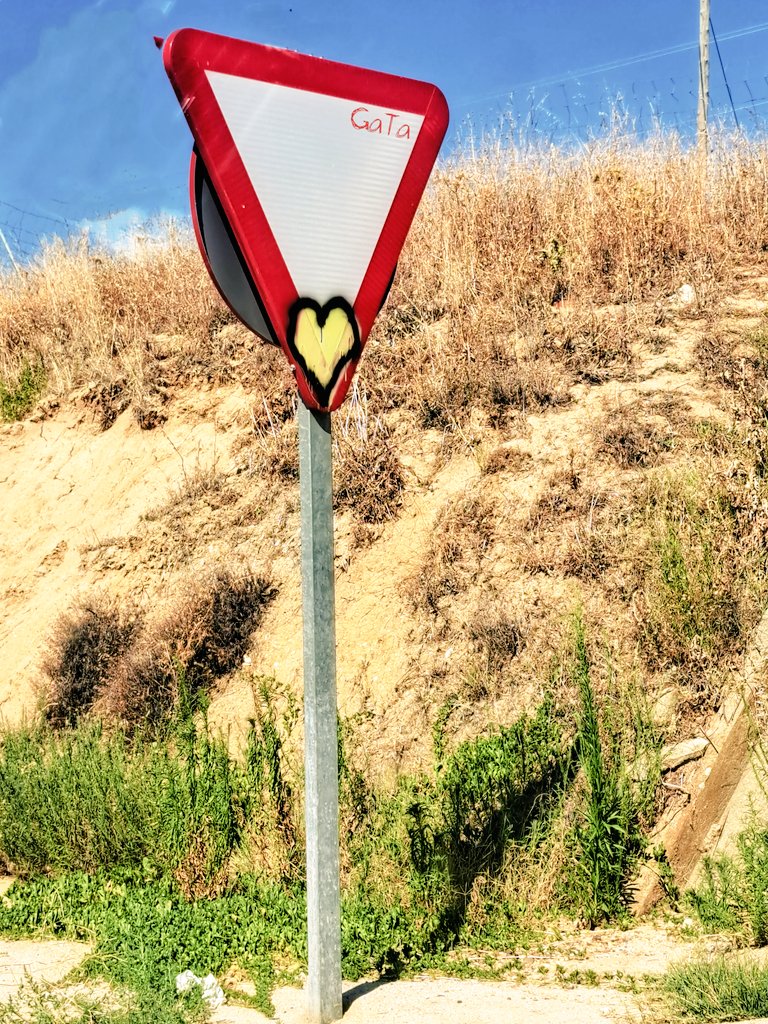 Lα Gαƚα Eɳ Tυ Tҽʝαԃσ tweet media