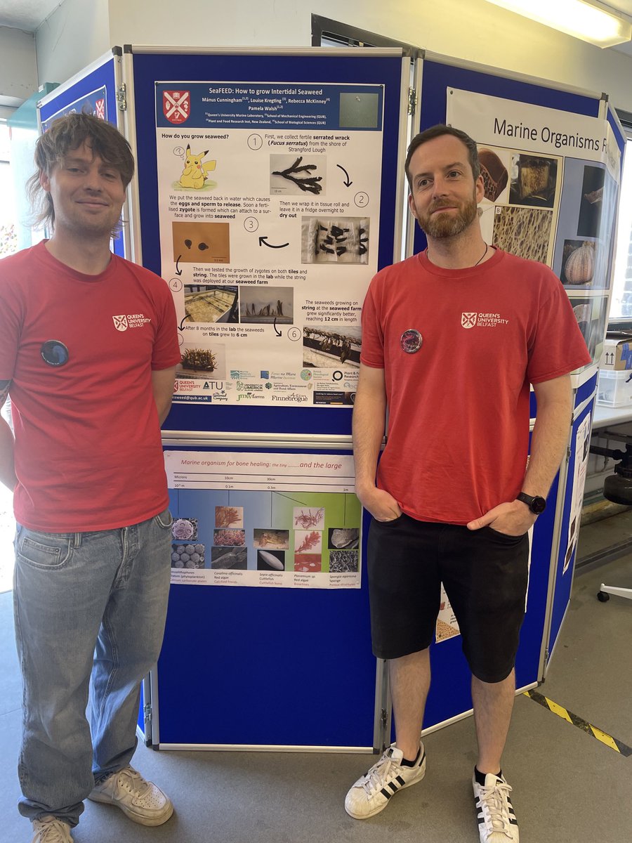 pamjwalsh's tweet photo. Having fun at QML today @QueensMarineLab telling the public about our seaweed research and doing some fun experiments 🧪 with the kids @QUBelfast @daera_ni #SeaFeed #seaweed @QUBMAE @MarrLabResearch @QUBCCE https://t.co/fcaIjTHIZU