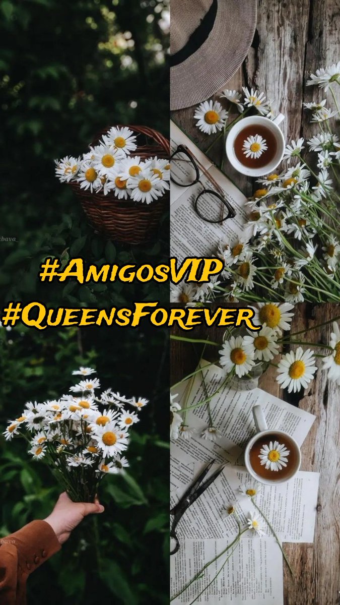 #AmigosVIP
#QueensForever👑

<a href="/ElBlondyRD/">DOMINGO MEJIA</a>
<a href="/RosaNegra008/">#ℑ𝔫𝔪𝔞 🌹🖤</a>
<a href="/AmeliaVicencio/">♒🌷❤️𝐀𝐦𝐞𝐥𝐢𝐚𝐕𝐢𝐜𝐞𝐧𝐜𝐢𝐨❤️🌷♒️</a>
<a href="/vamosatejidos/">hablemosdetejidos🐏🧶🇦🇷</a>
<a href="/R1_Adv/">Ridwan R1🇮🇩</a>
<a href="/1TGQ2/">TG</a>
<a href="/MariFa05/">🌻🌷Mariana Fabiola🌷🌻</a>
<a href="/Danijose69/">ᙃᥲᥒɩꙆo</a>
<a href="/CarloSportfan/">SportISmyLIFE ⚽⚾🏀🏐🏈🎾🎳🏏🏓⛳</a>
<a href="/HalconaUFF/">♥️Elena Amelia M ♥️#𝔻𝕖𝕁𝕒𝕡𝕠𝕟𝔸𝕣𝕚𝕘𝕒𝕥𝕠🌸</a>
<a href="/MarinaEle23/">❣️Marina Elena V.❣️#𝔻𝕖𝕁𝕒𝕡𝕠𝕟𝔸𝕣𝕚𝕘𝕒𝕥𝕠🌸</a>
<a href="/Venus__2023/">Venus</a>
@ELRUBIO_RD
<a href="/malaCATosa1/">Malacatosa</a>
<a href="/0_werewolf_0/">Amunet</a>
@Luisalf47702860
<a href="/Sonia40933646/">Sonia💐🌻</a>
<a href="/halconavicencio/">🌹❤️ELENA MIRANDA V.❤️🌹#E̲l̲e̲M̲i̲r̲a̲n̲d̲a̲</a>
@ApureSniet16319