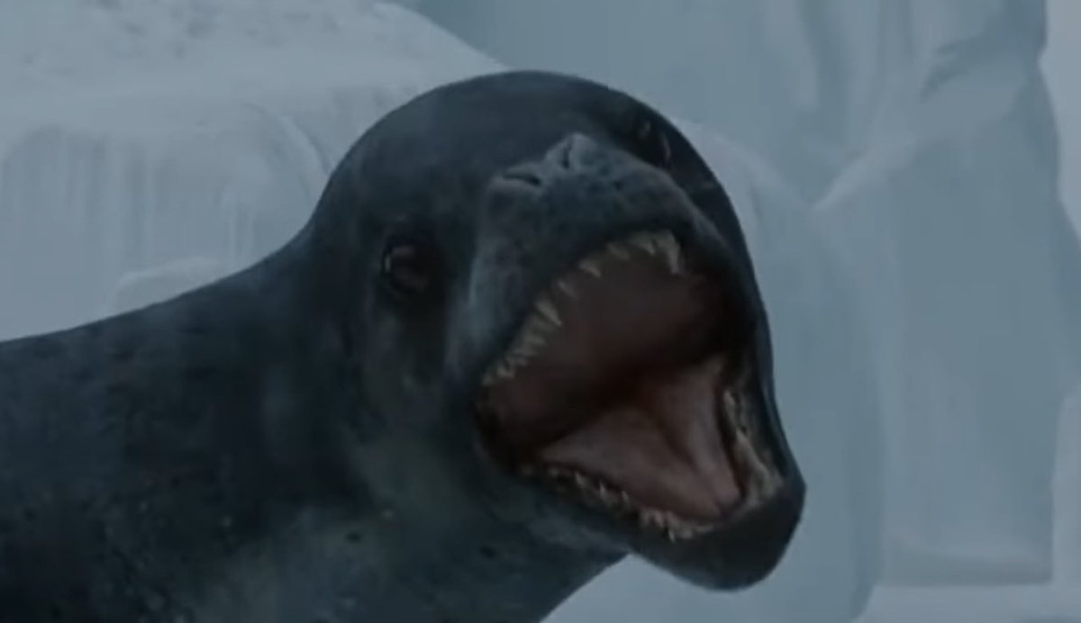 🦎Visceral🪶 (Tomistoma enjoyer🐊) tweet media