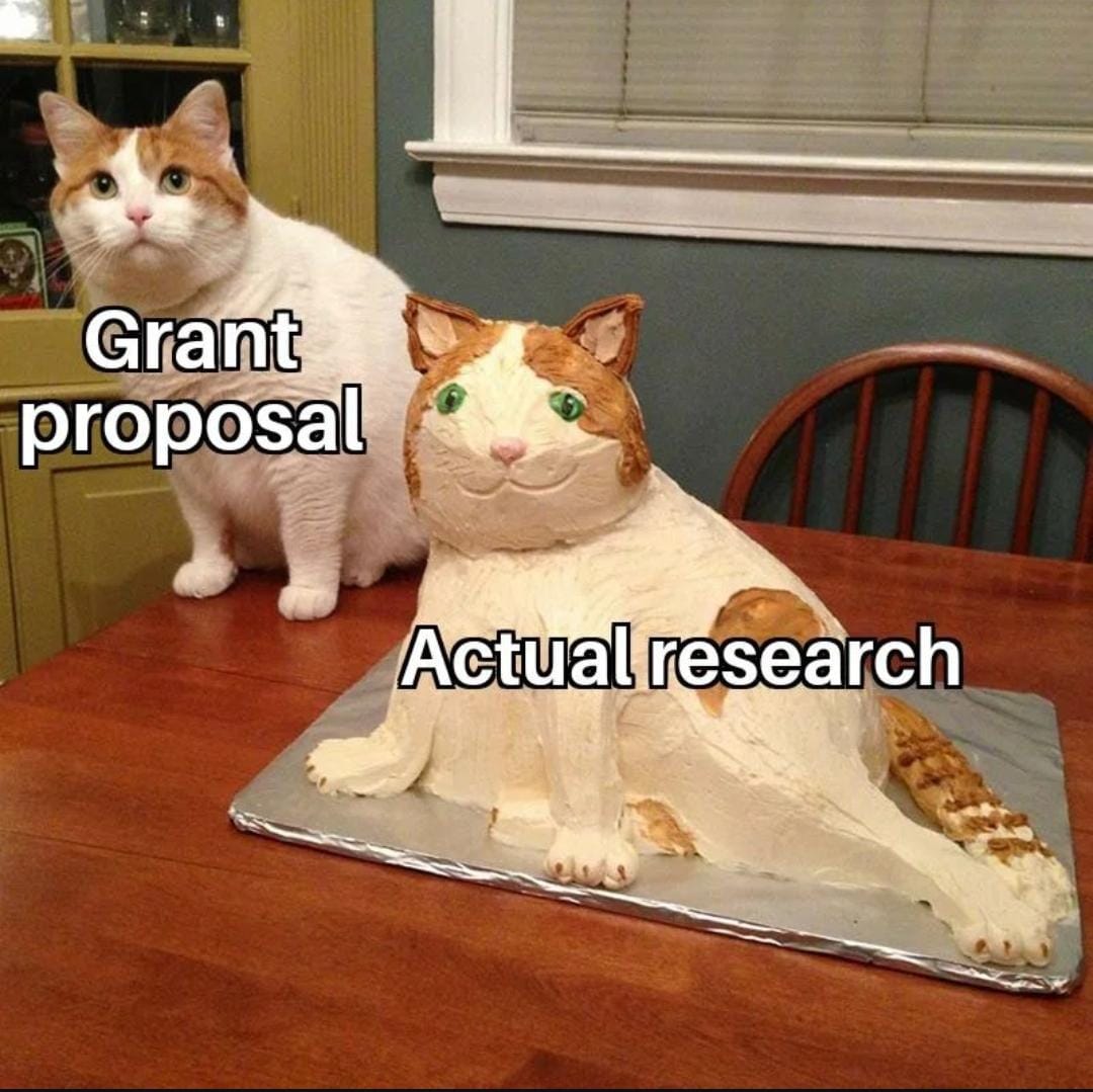 Grant proposal vs Actual research 🫣