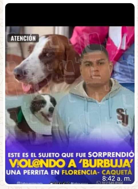 RESCATESYADOPCI's tweet photo. 😠😠😠😠😠 Este violador acaba de quedar libre. Esa es la justicia de este país. Difundamos mucho. Pedimos justicia para Burbuja.
@FiscaliaCol
@andreanimalidad
@petrogustavo
@NoticiasCaracol
@NoticiasRCN
@CityNoticiasTv
@NoticiasUno
@payas_veeduria https://t.co/rMnjn2BGP7