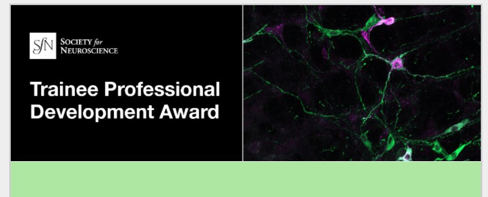 Katie Morrison (@dockatiephd) on Twitter photo So thrilled for lab undergraduate <a href="/Laiklyn_Luther/">Laiklyn Luther</a> for being selected to receive an <a href="/SfNtweets/">Society for Neuroscience (SfN)</a> TPDA!! Thank you SfN! Excited she can share her hard work on our epigenetic projects at #SfN24 (PS - she’s applying to grad school this year and anyone would be lucky to recruit her 👀) So thrilled for lab undergraduate <a href="/Laiklyn_Luther/">Laiklyn Luther</a> for being selected to receive an <a href="/SfNtweets/">Society for Neuroscience (SfN)</a> TPDA!! Thank you SfN! Excited she can share her hard work on our epigenetic projects at #SfN24 (PS - she’s applying to grad school this year and anyone would be lucky to recruit her 👀)
