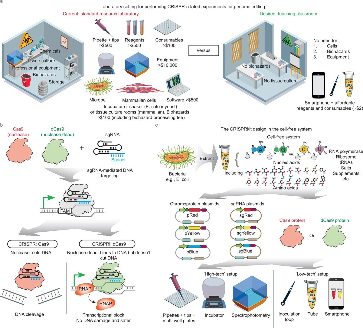 Dr_Alex_Crimi's tweet photo. "A frugal #CRISPR kit for equitable and accessible education in #geneediting and #syntheticbiology"
(Openaccess paper link in first comment)
#Biotech and #biology should not cost a fortune
Reduced expensive reagents, and things done computationally
#synthbio #openhardware https://t.co/rs69KAduO5