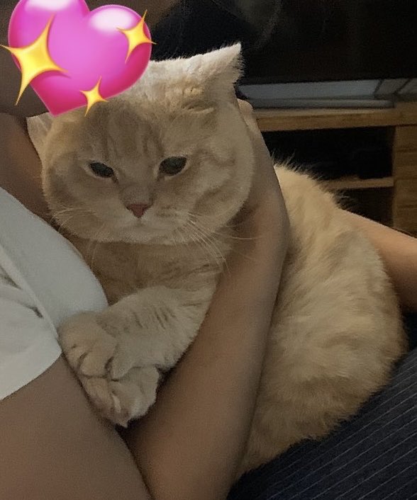 realmingh's tweet photo. แม่จ๋าไม่รักป้องแล้ว https://t.co/3OcNRFwHb8