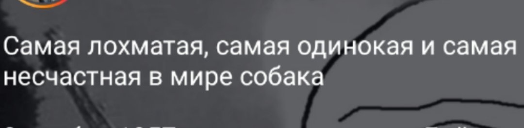 Кто-то: опиши себя одним предложением
Я: да без проблем