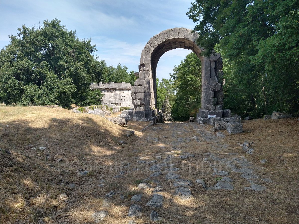 RoaminTheEmpire tweet media