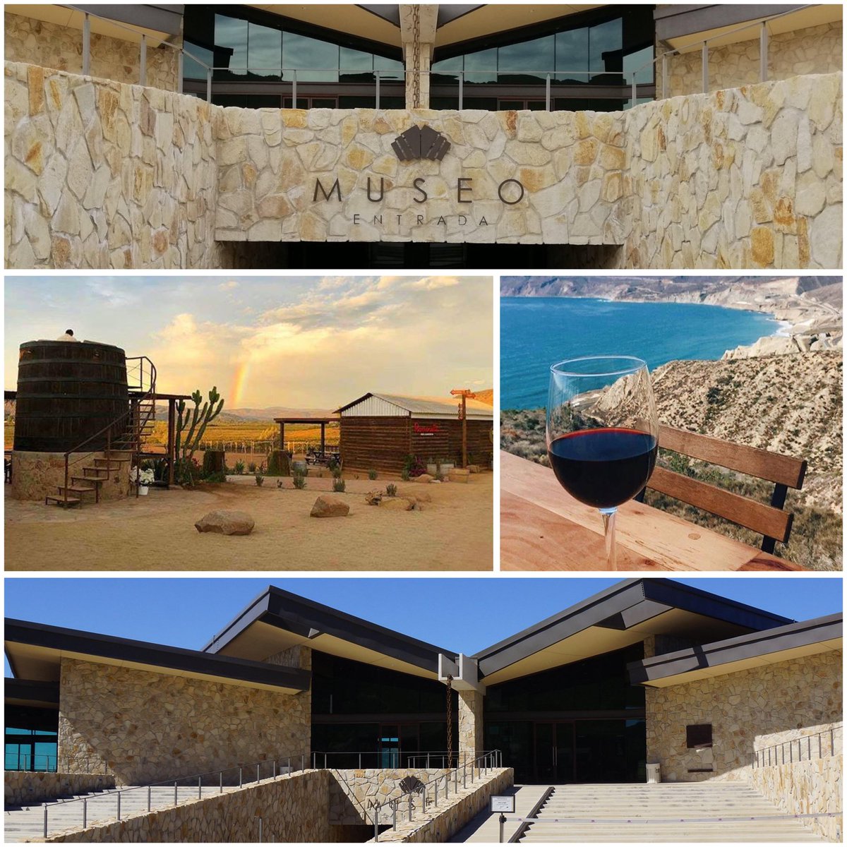 El Museo de la Vid y el #Vino ubicado en #Ensenada, #BajaCalifornia cumple 12 años.🍷

Visítenlo y descubran la historia, la industria y la identidad del #VinoMexicano, así como su relación con el arte.

Gran homenaje a la rica tradición vitivinícola de la región.✨