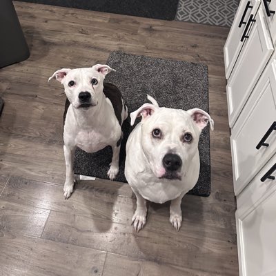 #NewProfilePic