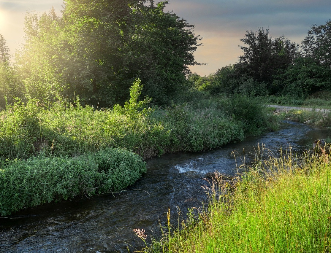 Cian McCarthy tweet media