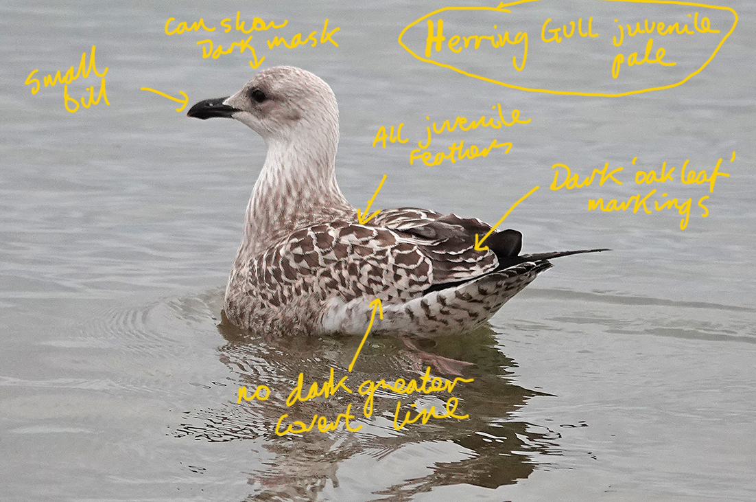 Mike Langman tweet media