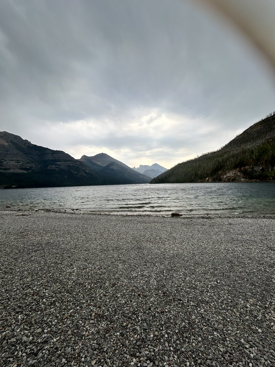 Cat Tebaldi tweet media