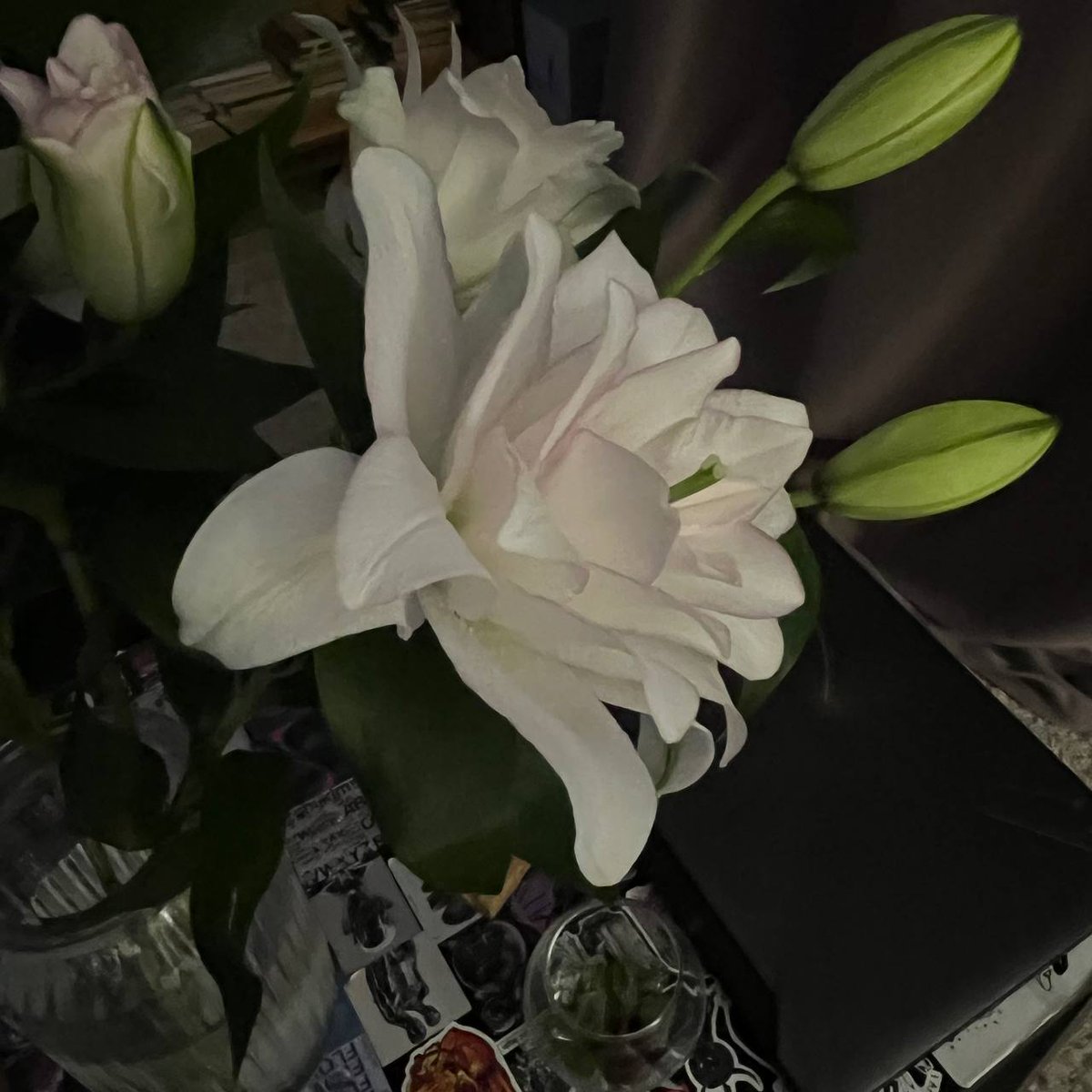 Amazing_Viii's tweet photo. more flowers🌸 https://t.co/BnSmOHlTiN