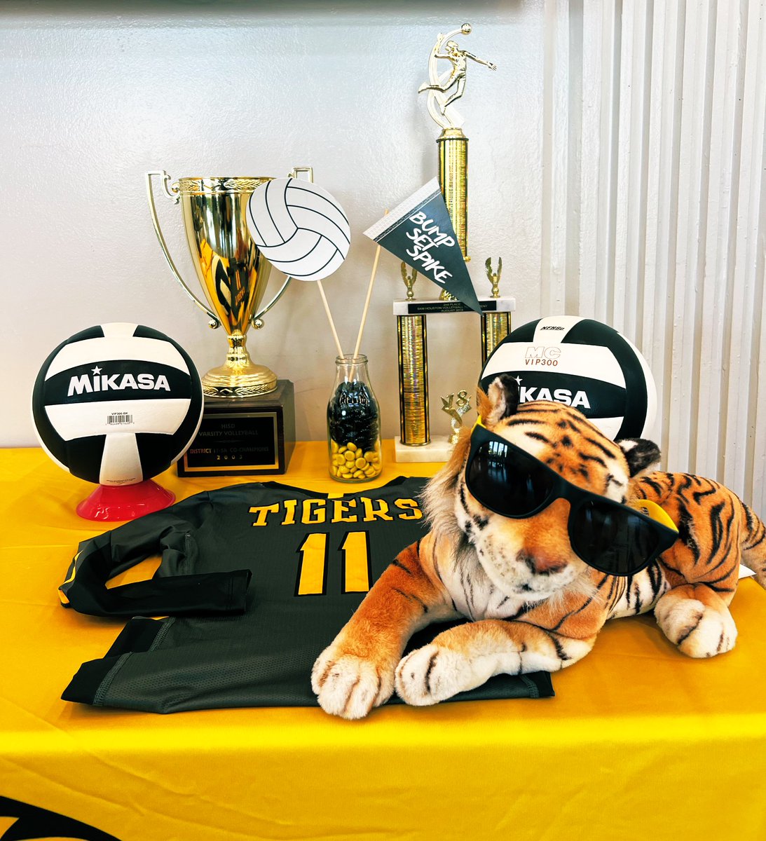 SHtigervolley's tweet photo. Be cool 😎&amp; sign up for 🏐 this year. That was fun @SHMSTC 🐯🐯‼️#Back2SchoolBash #GoTigersGo 
@CoachGusart @coach_broady
@gaut_rae @SHtigervolley #WeR1 https://t.co/0OGlnbyGVs
