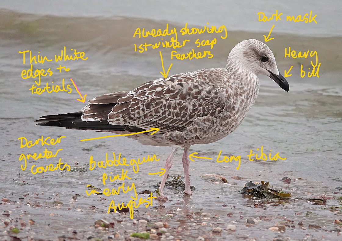 Mike Langman tweet media