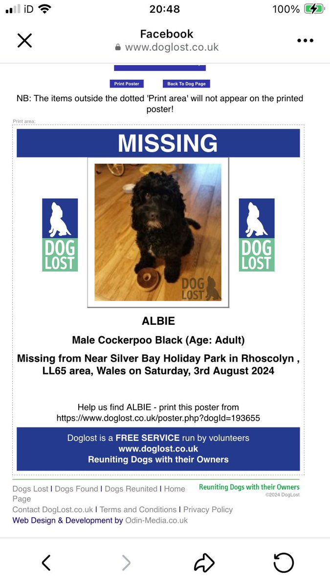 clares14764190's tweet photo. Please share - MISSING βͺοΈ ALBIE
#neutered/#tagged/#microchipped ADULT MALE COCKERPOO
#Lost: 03/08/2024
Where: Near #SilverBayHolidayPark in #Rhoscolyn #Anglesey #Wales #LL65 area
https://t.co/bVnldtqcFi
https://t.co/wwKlYdpMaw https://t.co/cwygaduCW6