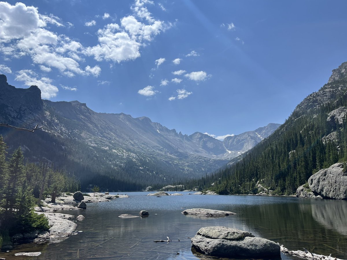 Austin Render tweet media