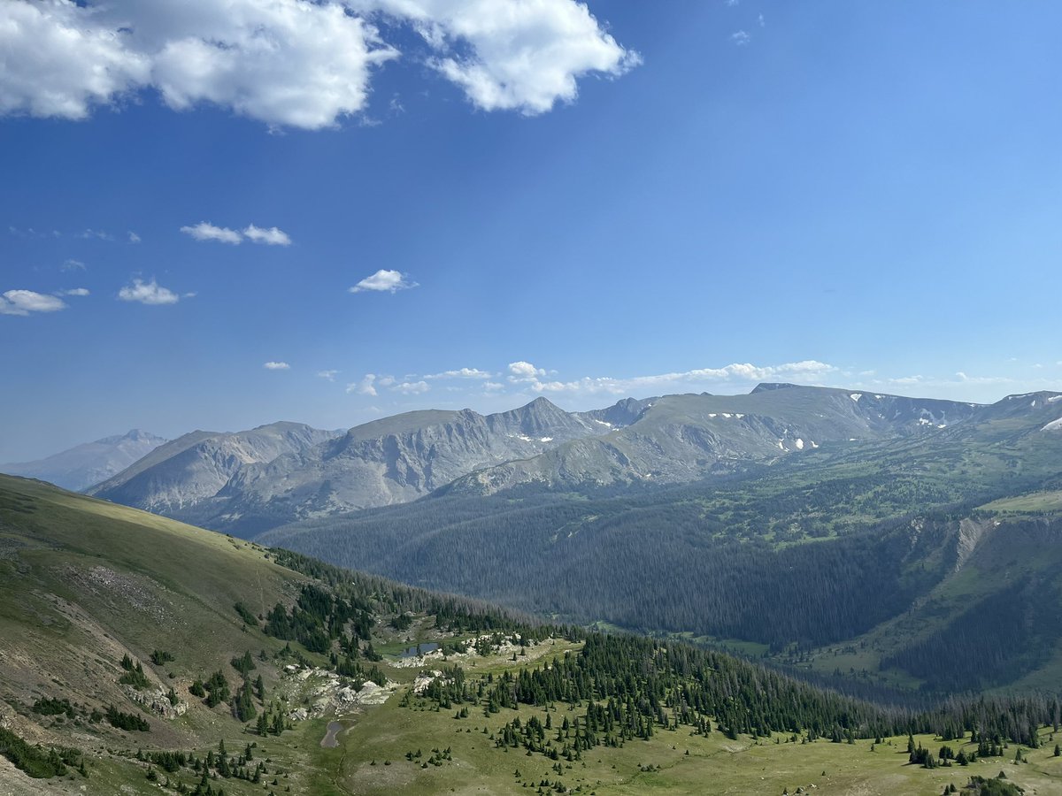 Austin Render tweet media