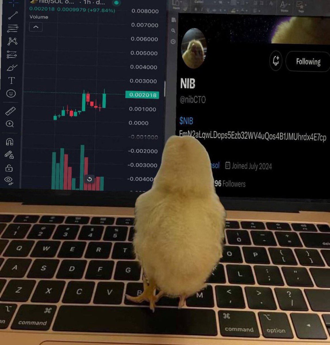 fran89113711's tweet image. Lfg!!! Vamos con el movimiento #nibbas $nib