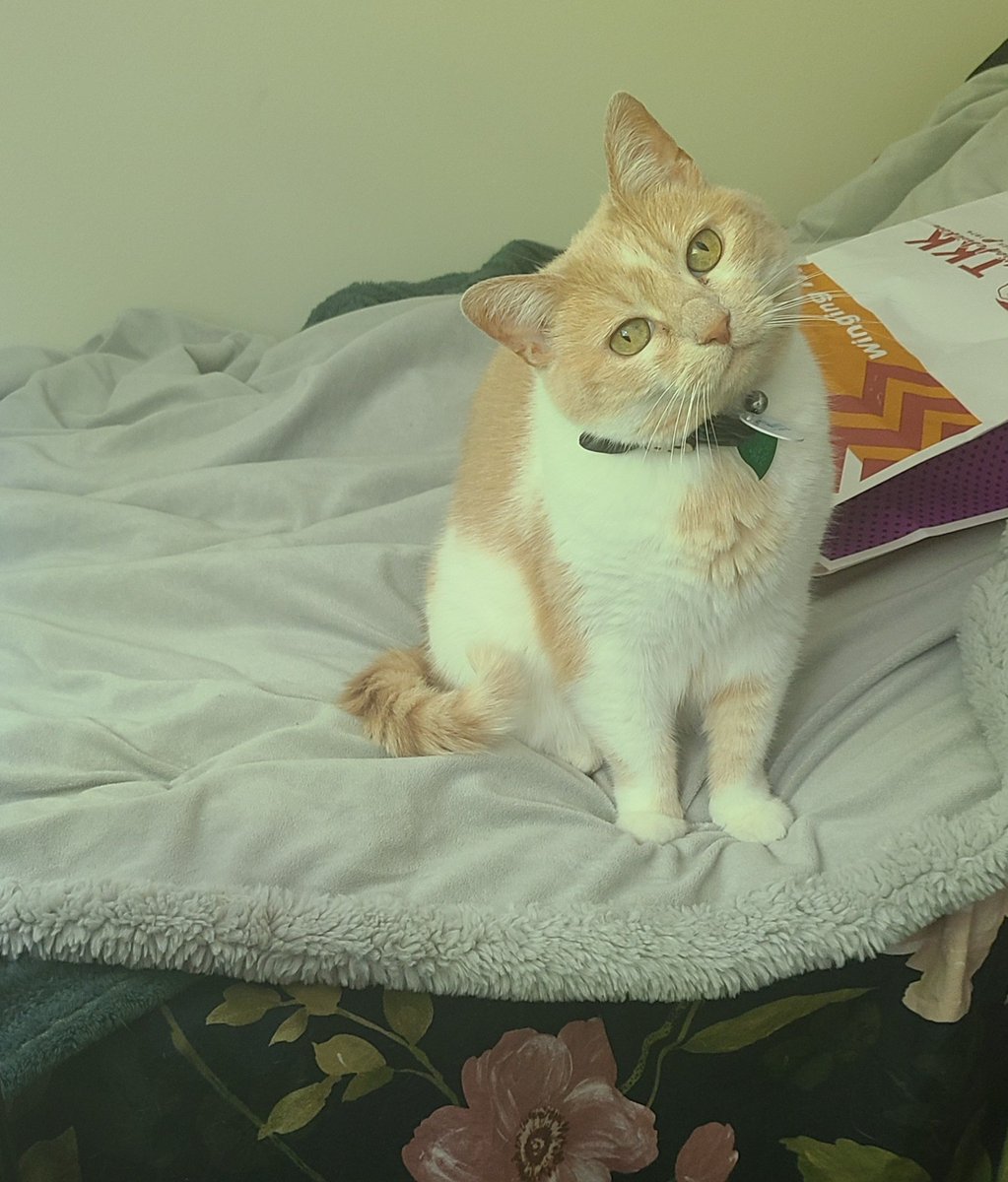 ToonesToons's tweet image. Winks at u