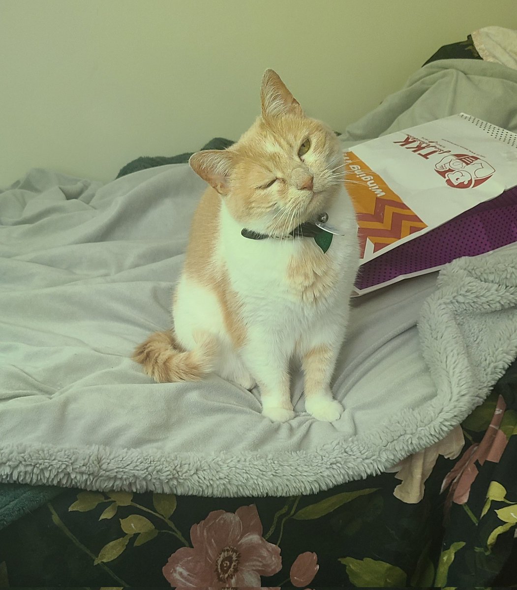 ToonesToons's tweet image. Winks at u