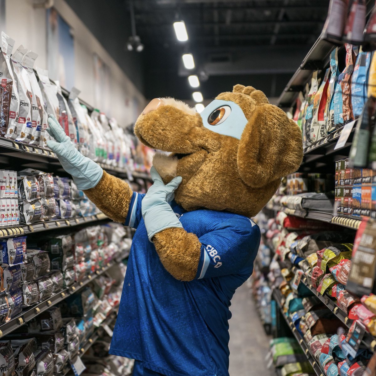 Halifax Wanderers FC tweet media