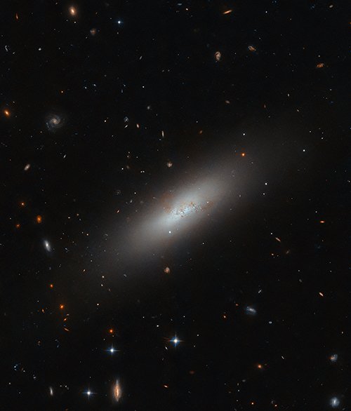UnivMagicoPlus's tweet photo. UMPlus - IC 3430
https://t.co/8fi6zXASnx
This image taken by the Hubble Space Telescope reveals the subtle glow of the galaxy IC 3430, located at a distance of.....
#astronomy #space #astrophysics #cosmology #astrophotography https://t.co/lH5nP76zmT