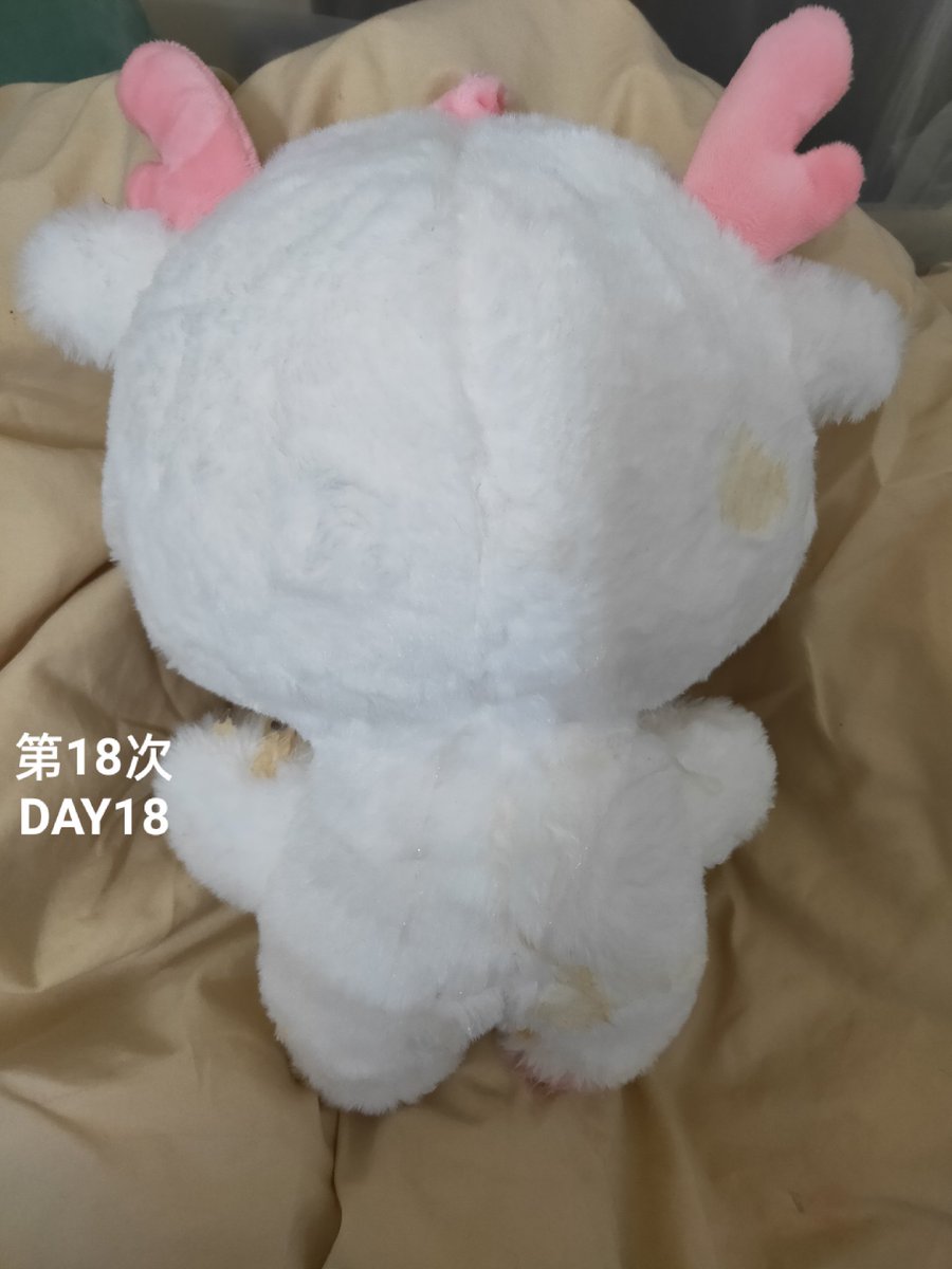 NoseUp323758's tweet photo. 🤭 https://t.co/3Ai0c2Ey7m