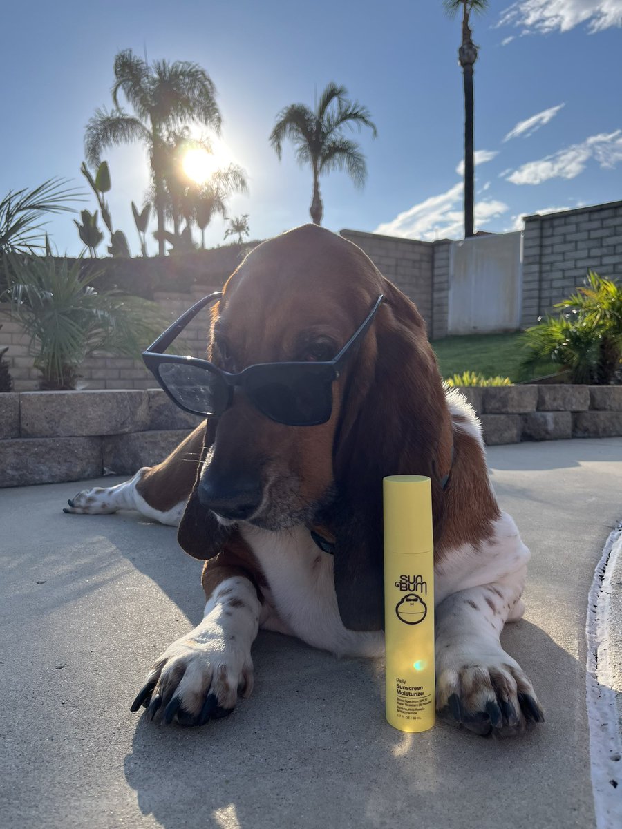 Voodoochile 215/412 tweet media